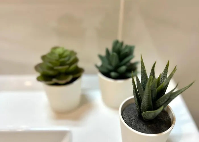 Apartamento Perla De Mar Los Cristianos (Tenerife)